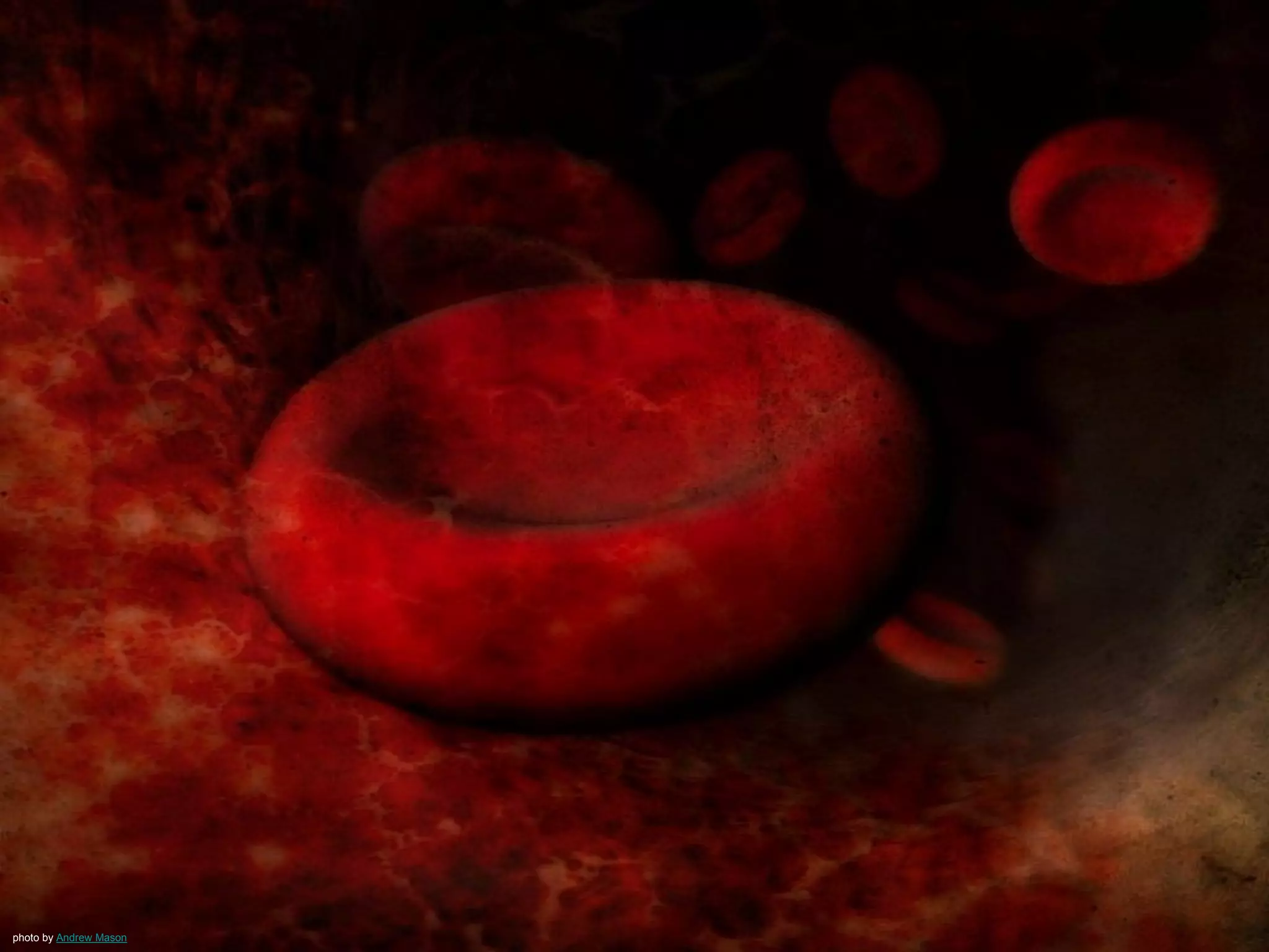 The 2nd Law of Software Development
Empower Teamsphoto by Elvire.R.
 