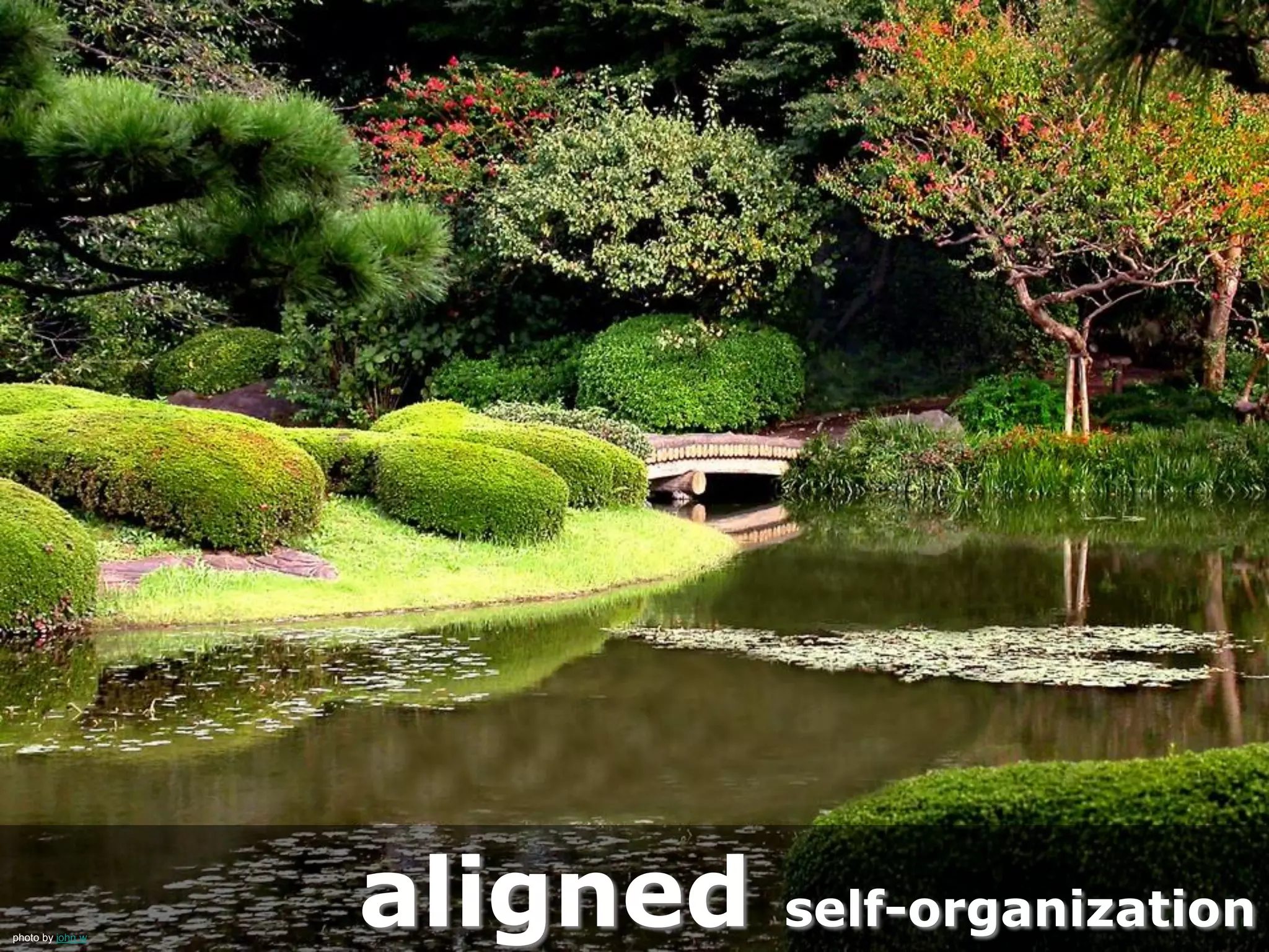 The 3rd Lawof Software Development
Align Resultsphoto by The Wandering Angel
 