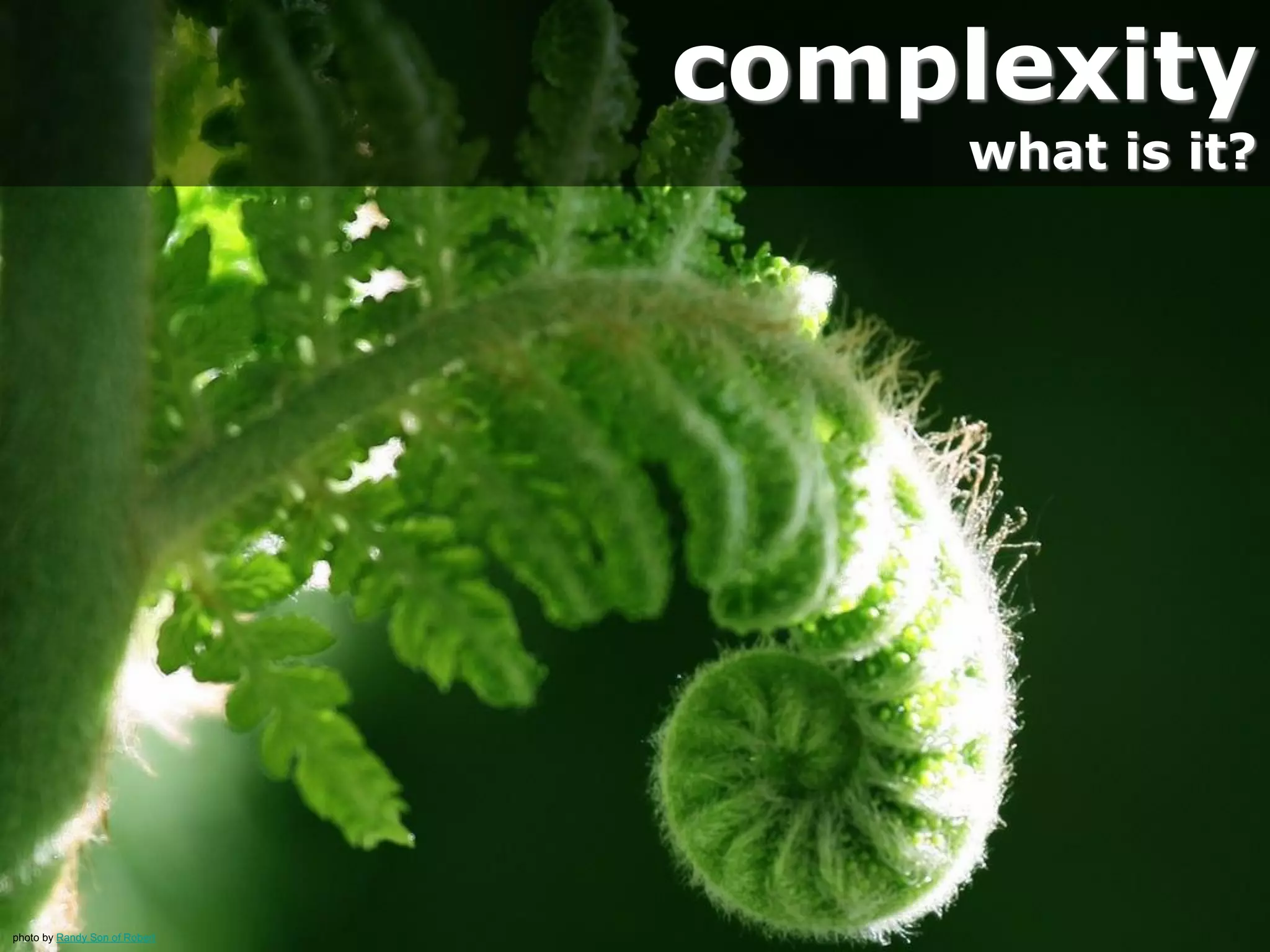 complex systems are
self-organized
photo by judepics
 