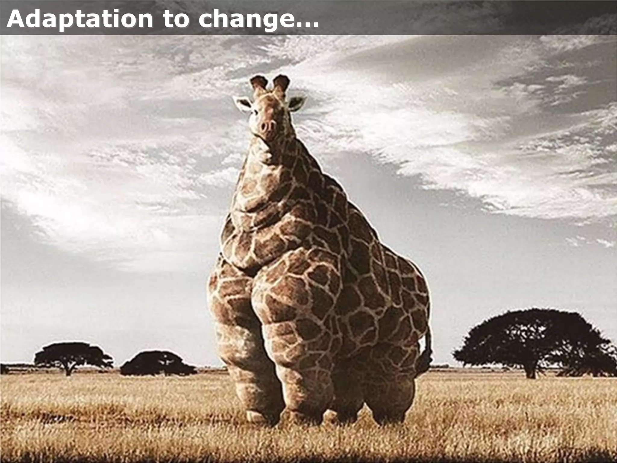 The 11th Law of Software Development
Manage Uncertaintyphoto by rednuht
 