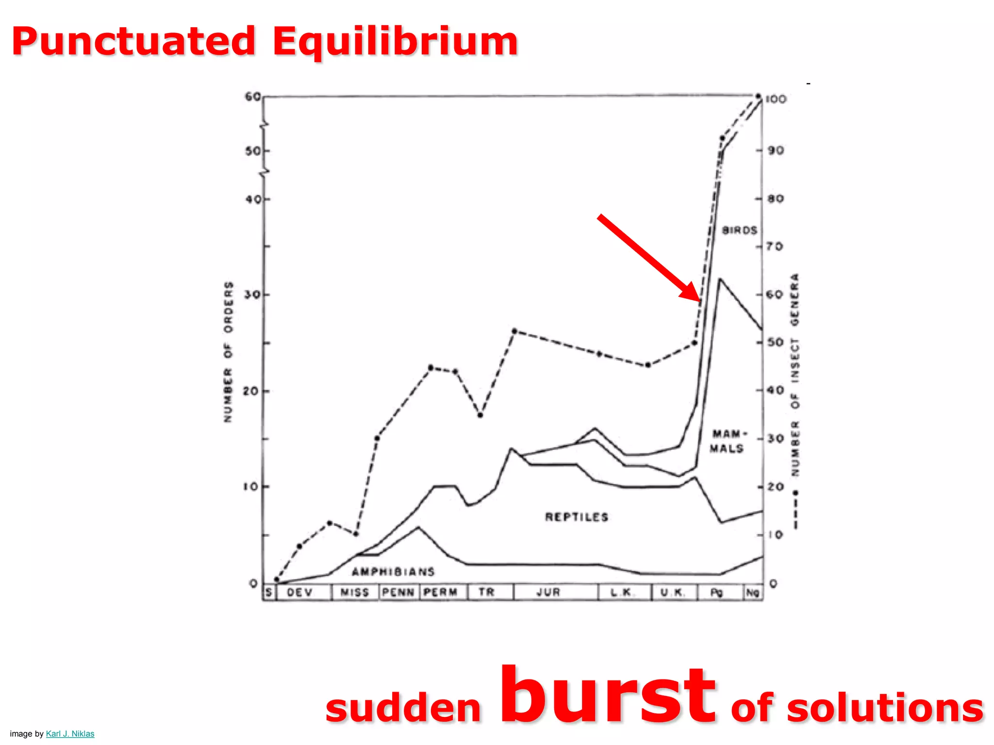 Attractors
convergence of formsphoto by Okko Pyykkö
 
