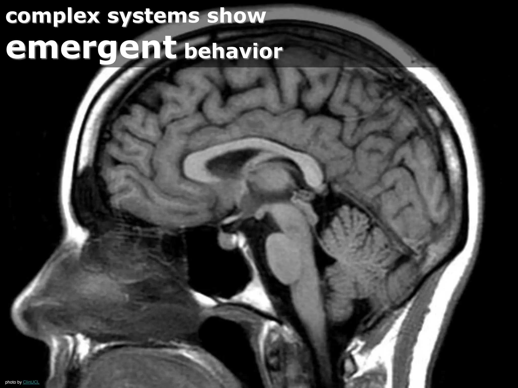 photo by DavidHR
complex systems behave
in a non-linear way
 