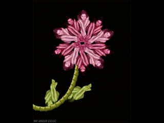 Son personas arranjo