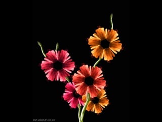 Son personas arranjo