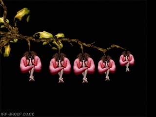 Son personas arranjo