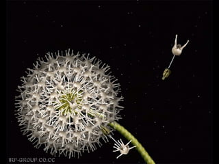 Son personas arranjo