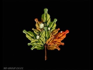 Son personas arranjo