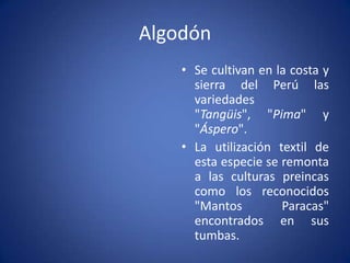 MacaLepidiummeyenii): es la raíz de una planta nativa de los Andes del Perú, reconocida por su alta concentración de proteínas y nutrientes vitales desde la época Inca. Se produce en Junín y Cerro de Pasco a más de 4000 msnm. 