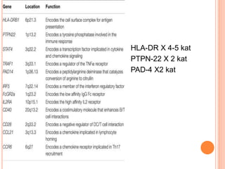 HLA-DR X 4-5 kat
PTPN-22 X 2 kat
PAD-4 X2 kat
 