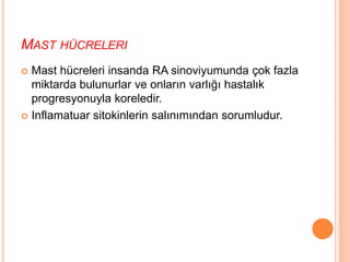 MAST HÜCRELERI
 Mast hücreleri insanda RA sinoviyumunda çok fazla
miktarda bulunurlar ve onların varlığı hastalık
progresyonuyla koreledir.
 Inflamatuar sitokinlerin salınımından sorumludur.
 
