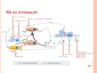 RA DA SITOKINLER
 