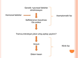Genetik +çevresel faktörler
sitrulinizasyon
Selftoleransın bozulması
Oto antikor
Tramva,mikrobiyal yükün artışı,epitop yayılımı?
Sinovit
Eklem hasarı
Asemptomatik faz
Klinik faz
Hormonal faktörler
 
