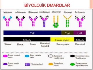 BİYOLOJİK DMARDLAR
 