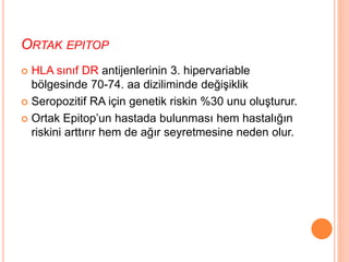 ORTAK EPITOP
 HLA sınıf DR antijenlerinin 3. hipervariable
bölgesinde 70-74. aa diziliminde değişiklik
 Seropozitif RA için genetik riskin %30 unu oluşturur.
 Ortak Epitop’un hastada bulunması hem hastalığın
riskini arttırır hem de ağır seyretmesine neden olur.
 