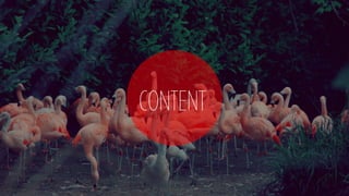 CONTENT
 