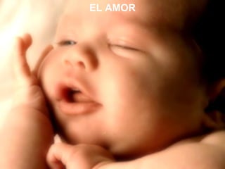 EL AMOR 