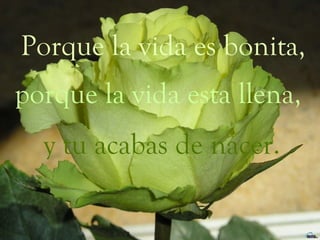 Porque la vida es bonita, porque la vida esta llena, y tu acabas de nacer. 