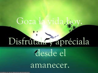 Goza la vida hoy. Disfrútala y apréciala desde el amanecer. 
