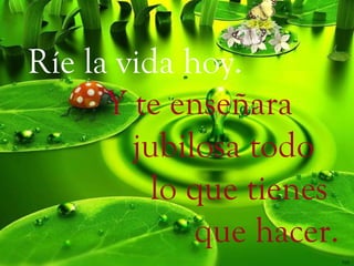 Ríe la vida hoy. Y te enseñara jubilosa todo lo que tienes que hacer. 