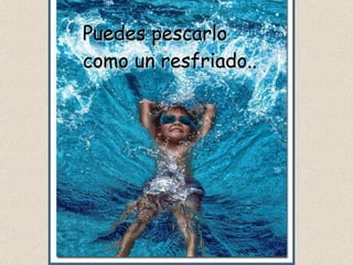 Puedes pescarlo como un resfriado.. 