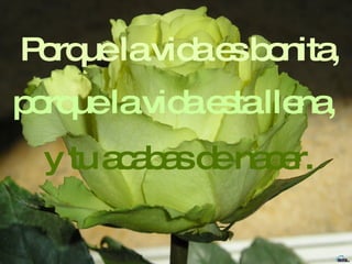 Porque la vida es bonita, porque la vida esta llena, y tu acabas de nacer. 