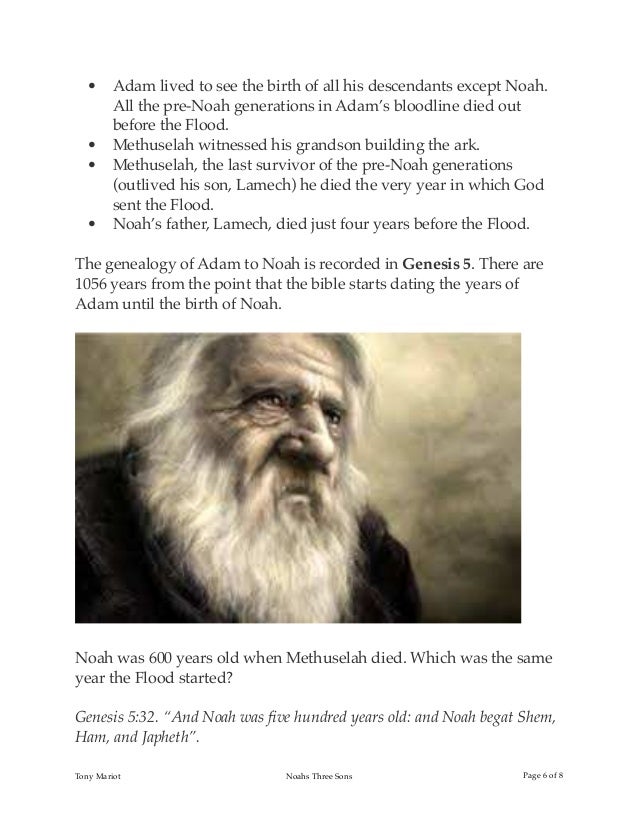 Sons Of Noah Sons Of Noah