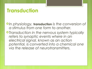 Transduction
In physiology, transduction is the conversion of
a stimulus from one form to another.
Transduction in the nervous system typically
refers to synaptic events where in an
electrical signal, known as an action
potential, is converted into a chemical one
via the release of neurotransmitters.
 