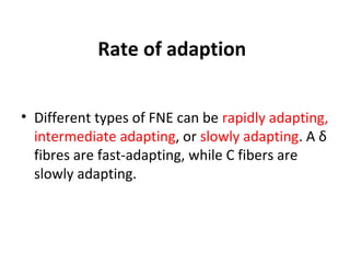 Rate of adaption
• Different types of FNE can be rapidly adapting,
intermediate adapting, or slowly adapting. A δ
fibres are fast-adapting, while C fibers are
slowly adapting.
 