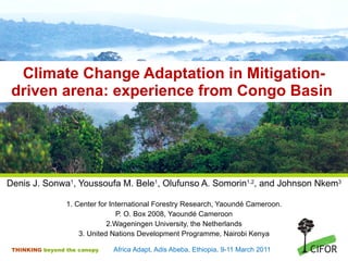 Climate Change Adaptation in Mitigation-driven arena: experience from Congo Basin  ,[object Object],[object Object],[object Object],[object Object],[object Object],[object Object]