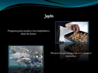 Programa para ayudar a los empleados a
dejar de fumar
Prevención por riesgos de terremotos e
incendios
 