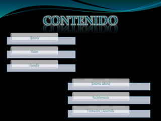 Historia
Visión
Filosofía
Entorno laboral
Reclutamiento
Formación y desarrollo
 