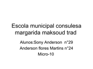 Escola municipal consulesa
 margarida maksoud trad
   Alunos:Sony Anderson n°29
   Anderson flores Martins n°24
            Micro-10
 