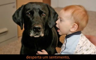 desperta um sentimento,
 