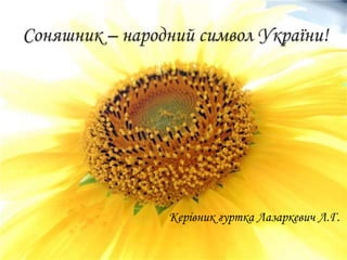 Соняшник – народний символ України!
Керівник гуртка Лазаркевич Л.Г.
 