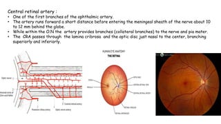 ocular blood supply | PPTX