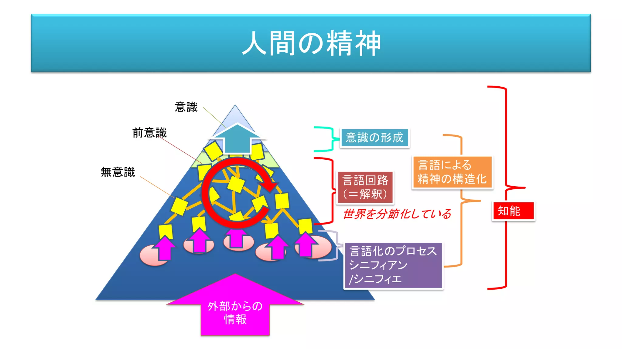 人間の精神
意識
前意識
無意識
知能
言語による
精神の構造化
外部からの
情報
言語化のプロセス
シニフィアン
/シニフィエ
言語回路
（＝解釈）
意識の形成
世界を分節化している
 