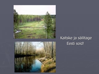 Kaitske ja säilitage Eesti soid! 