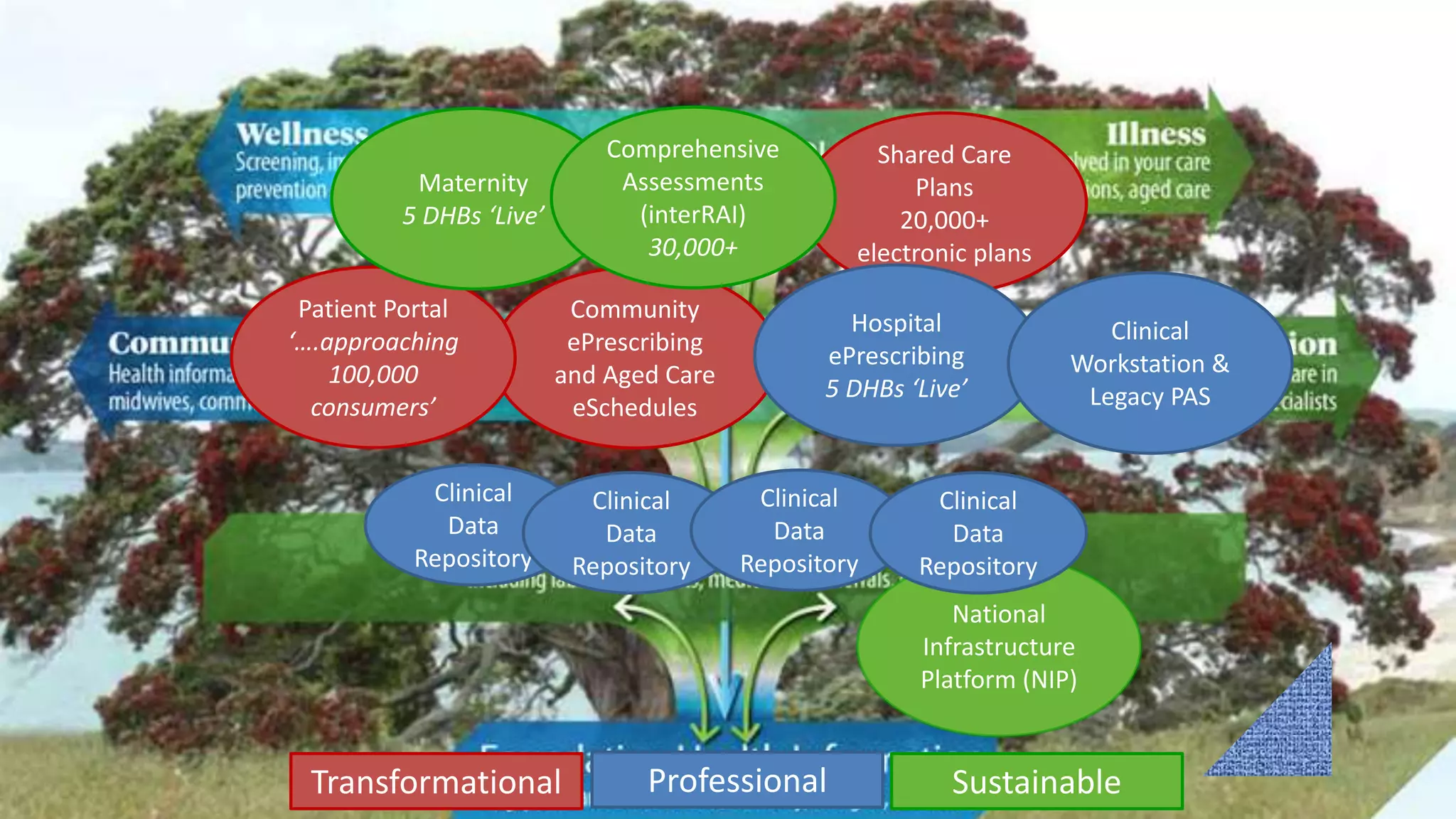 Community
ePrescribing
and Aged Care
eSchedules
Patient Portal
‘….approaching
100,000
consumers’
Transformational
Shared Care
Plans
20,000+
electronic plans
National
Infrastructure
Platform (NIP)
Sustainable
Maternity
5 DHBs ‘Live’
Comprehensive
Assessments
(interRAI)
30,000+
Hospital
ePrescribing
5 DHBs ‘Live’
Professional
Clinical
Workstation &
Legacy PAS
Clinical
Data
Repository
Clinical
Data
Repository
Clinical
Data
Repository
Clinical
Data
Repository
 