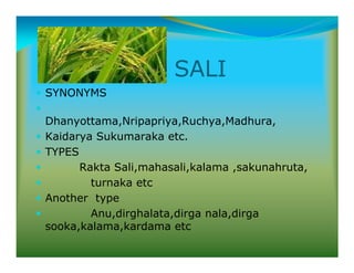 SALI
SYNONYMS
Dhanyottama,Nripapriya,Ruchya,Madhura,
Kaidarya Sukumaraka etc.
TYPES
Rakta Sali,mahasali,kalama ,sakunahruta,
turnaka etc
Another type
Anu,dirghalata,dirga nala,dirga
sooka,kalama,kardama etc
 