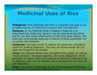 Medical Medium Rice Sookadhanyavarga | PDF