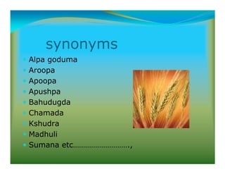 synonyms
Alpa goduma
Aroopa
Apoopa
Apushpa
Bahudugda
Chamada
Kshudra
Madhuli
Sumana etc……………………….,
 