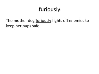 furiously
The mother dog furiously fights off enemies to
keep her pups safe.
 