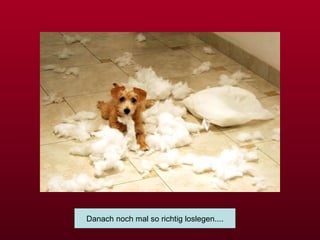 Danach noch mal so richtig loslegen.... 