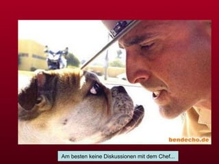 Am besten keine Diskussionen mit dem Chef... 