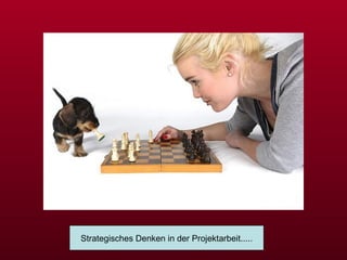 Strategisches Denken in der Projektarbeit..... 