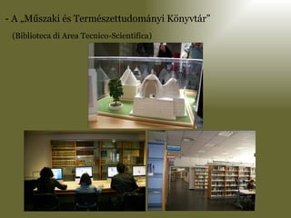 - A „Műszaki és Természettudományi Könyvtár” (Biblioteca di Area Tecnico-Scientifica) 