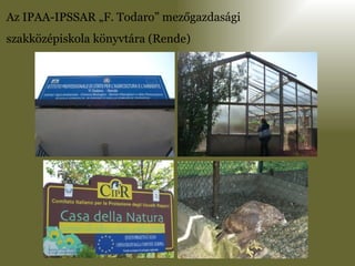 Az IPAA-IPSSAR „F. Todaro” mezőgazdasági  szakközépiskola könyvtára (Rende) 