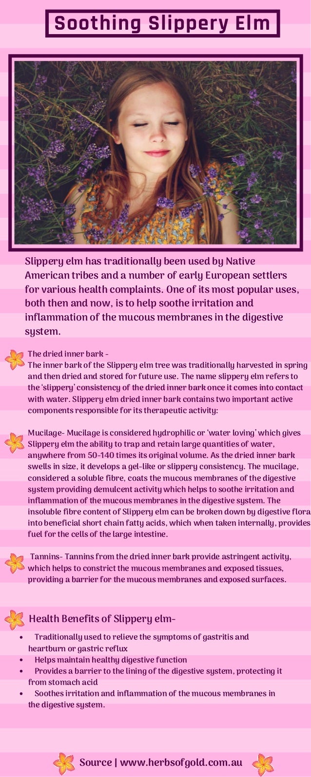 Soothing Slippery Elm Soothing Slippery Elm