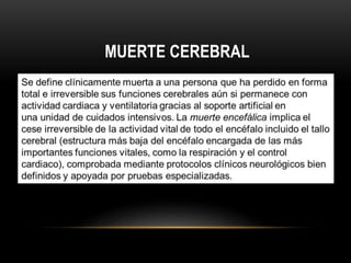 MUERTE CEREBRAL 
 