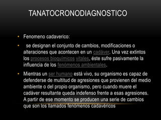 TANATOCRONODIAGNOSTICO 
• Fenomeno cadaverico: 
• se designan el conjunto de cambios, modificaciones o 
alteraciones que acontecen en un cadáver. Una vez extintos 
los procesos bioquímicos vitales, éste sufre pasivamente la 
influencia de los fenómenos ambientales. 
• Mientras un ser humano está vivo, su organismo es capaz de 
defenderse de multitud de agresiones que provienen del medio 
ambiente o del propio organismo, pero cuando muere el 
cadáver resultante queda indefenso frente a esas agresiones. 
A partir de ese momento se producen una serie de cambios 
que son los llamados fenómenos cadavéricos 
 